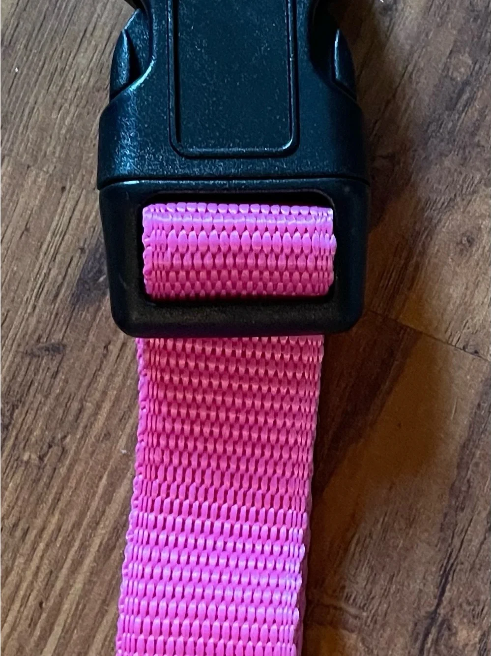 Bright Pink Nylon with Black Buckle Large Dog Animal Collar New